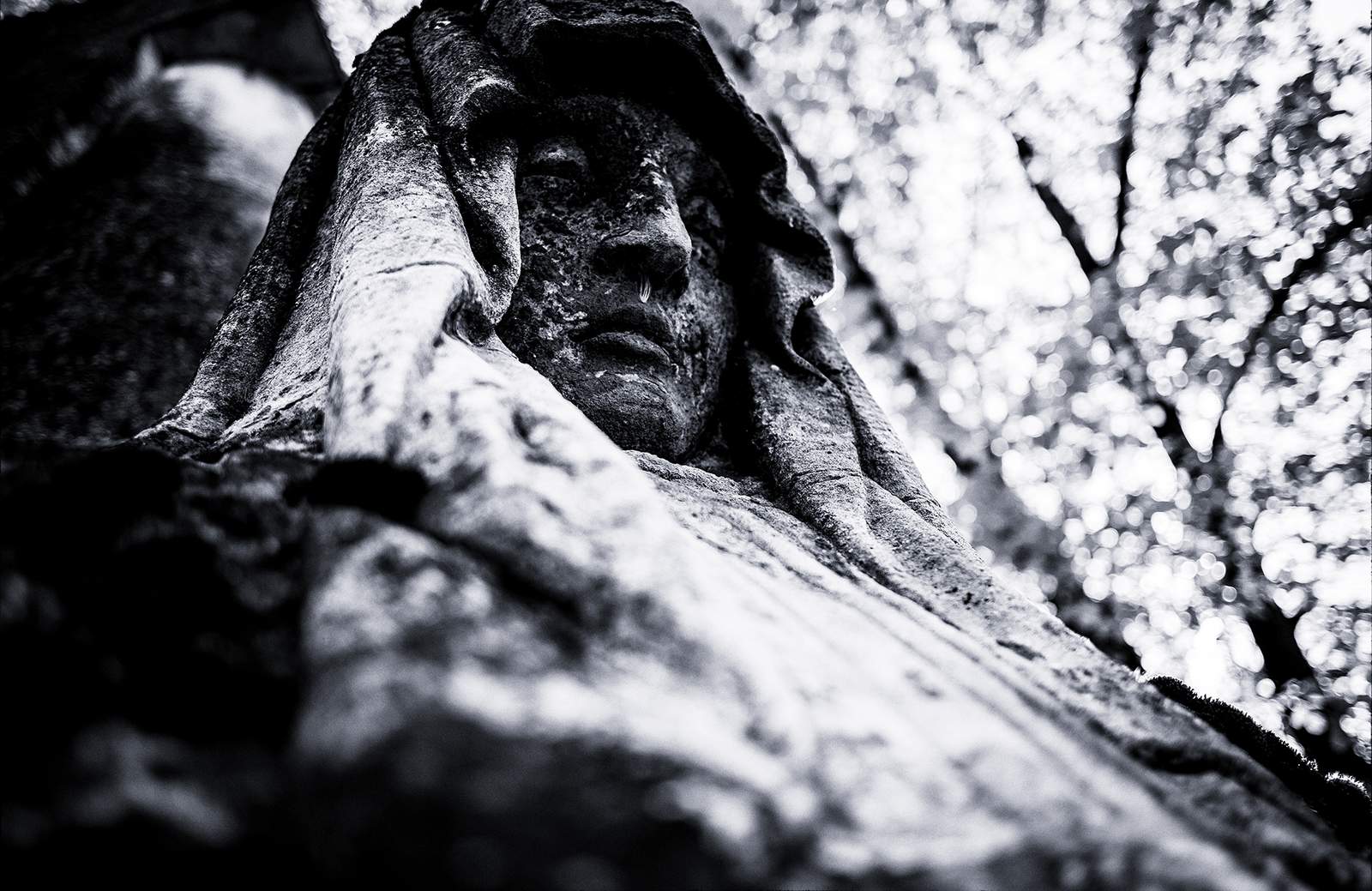 Cimitirul Bellu — documentar foto